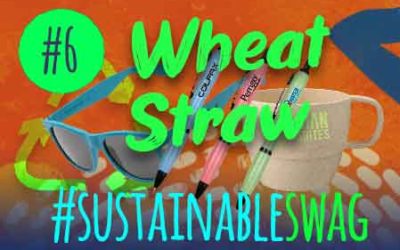 #6 Wheat Straw Promotional Products – Eco Friendly Conference #sustainableswag