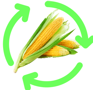 CORN-MATERIAL-ICON