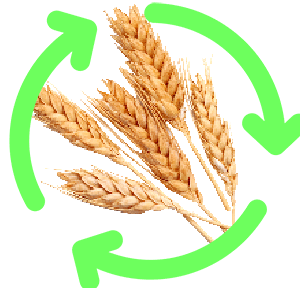 wheat-grass-icon